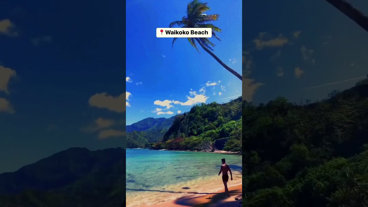#hawaii #hawaiilife #visithawaii #hawaiilove#hawaiitravel #hawaiitrip #kauai #beach #beachlife