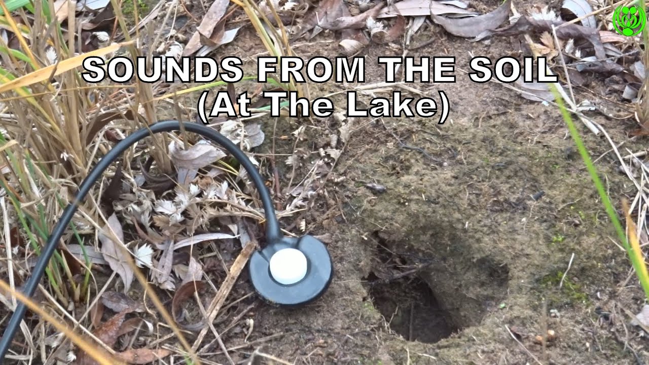 &raquo;SOUNDS FROM THE SOIL&laquo; (At The Lake) (14/12/2025)