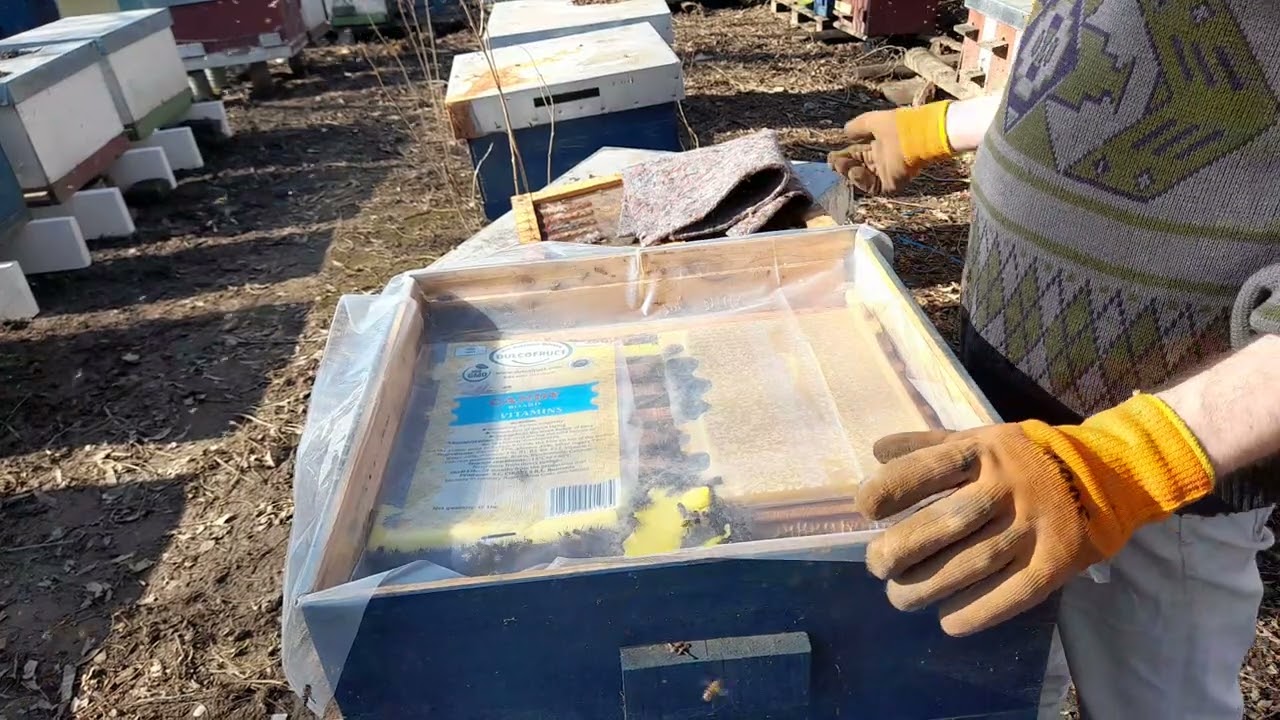 59 . - De ce dam doua tipuri de turta albinelor , energetica si proteica .