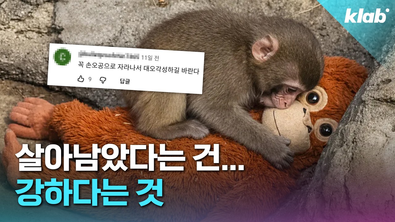 펀치는 왜 이렇게 행동했을까? 수의사와 함께 알아봄｜크랩