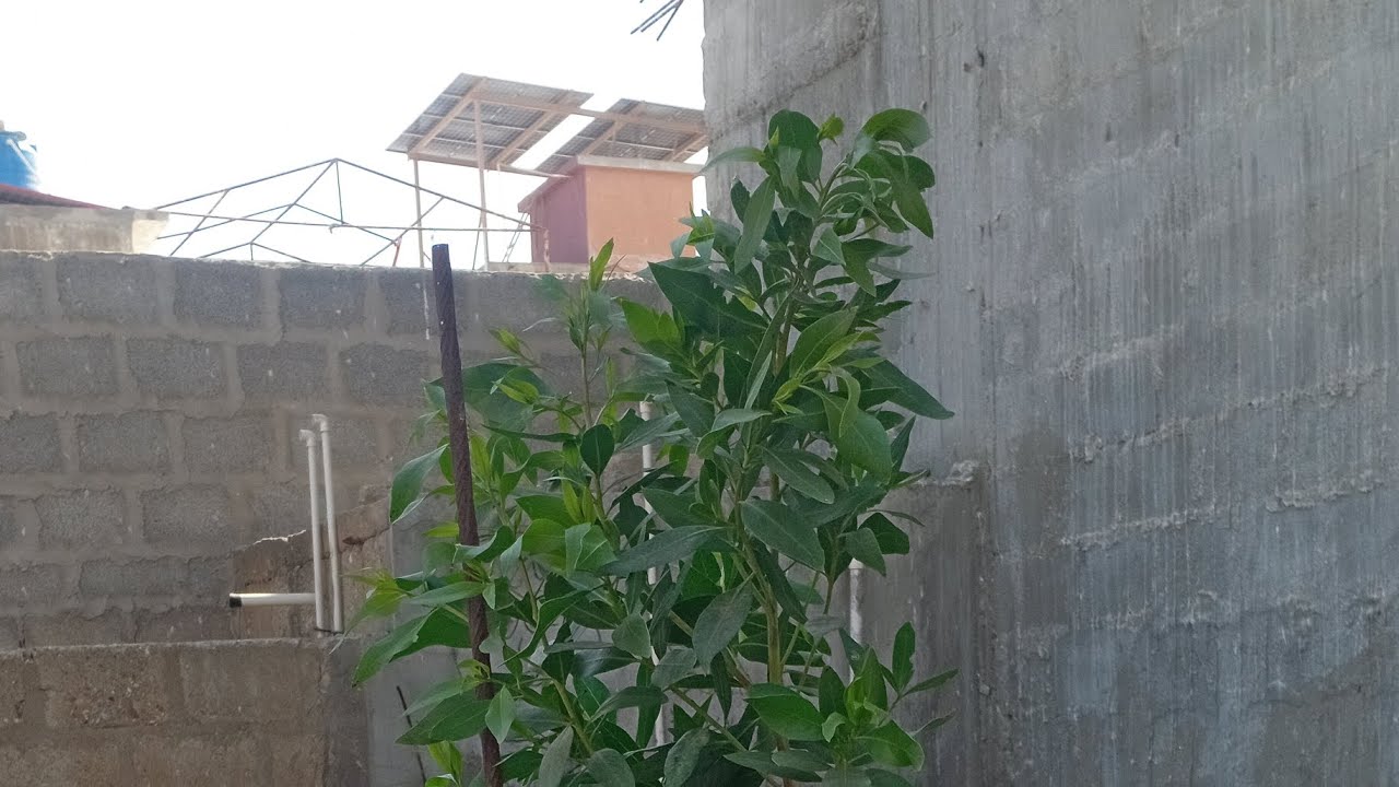 Ramadan blog ✨️ 🙏 💛 💖 