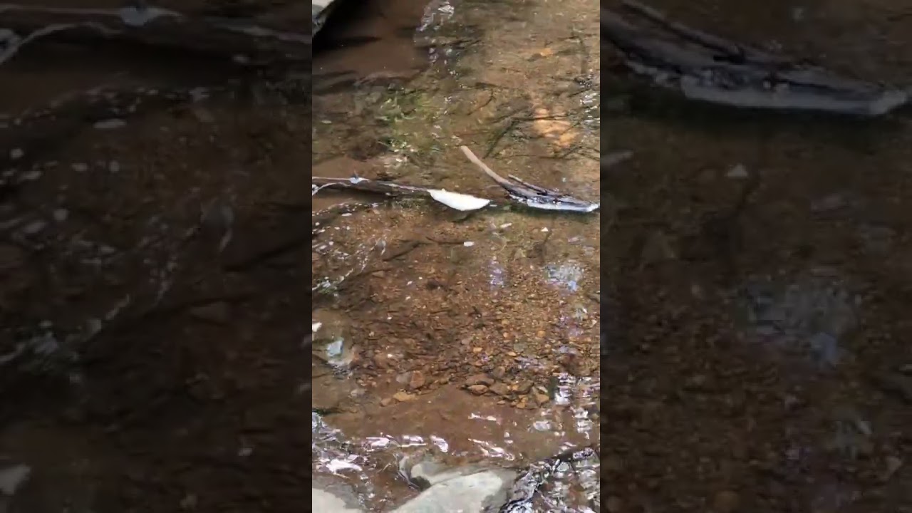 "Hidden Waterfall Treasure at Fort Mountain State Park!"