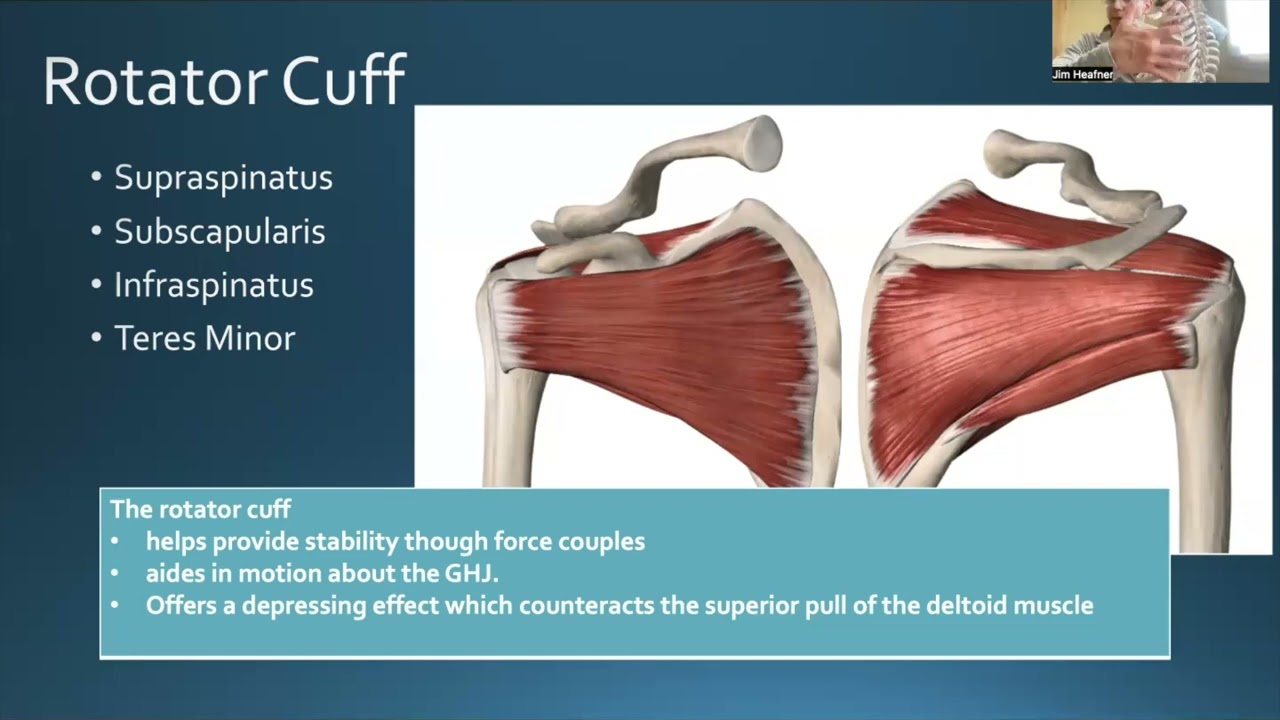 Shoulder Lecture OCS Prep Course