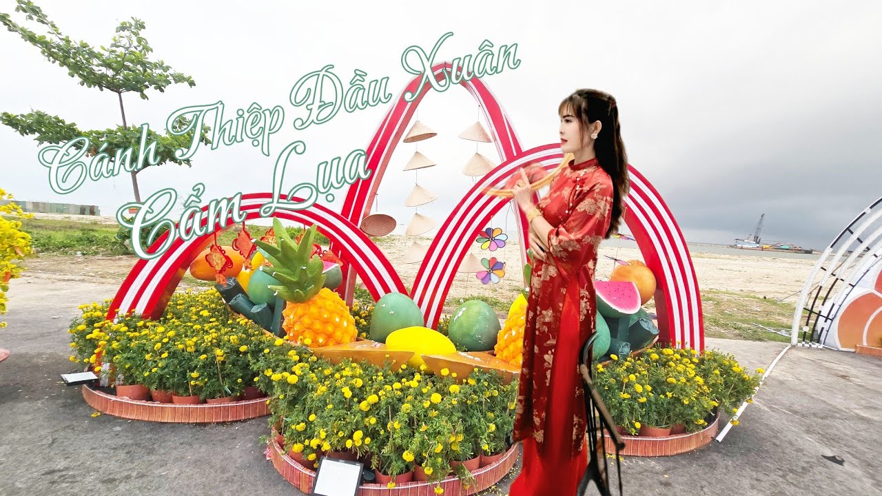 Cánh Thiệp Đầu Xuân ( ST: Minh Kỳ Và Lê Dinh) Trình Bài: Cẩm Lụa 