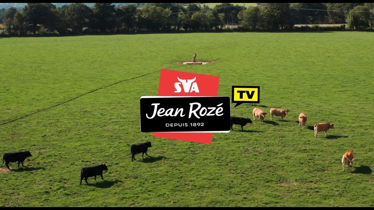 Episode 2 SVA Jean Rozé TV