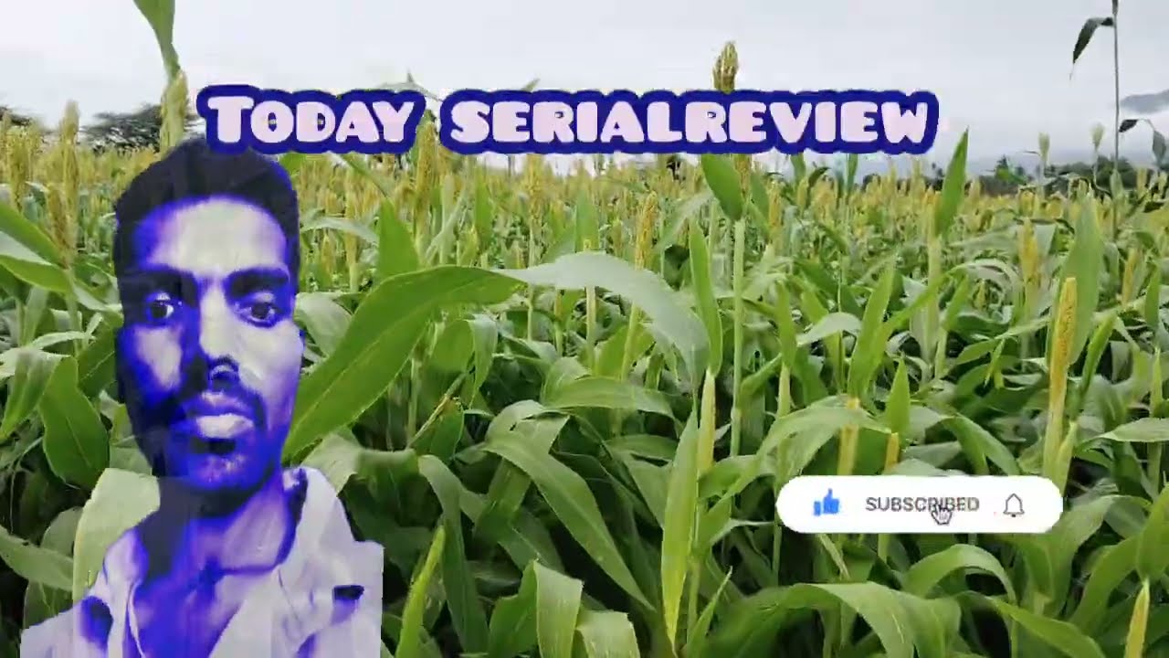 Today serialreview அசோக்கிற்காக ஆவேசமான கனகதுர்கா இனி விசகன்னிகா நிலைஎன்ன?#gauriserial#gaurikalaign 