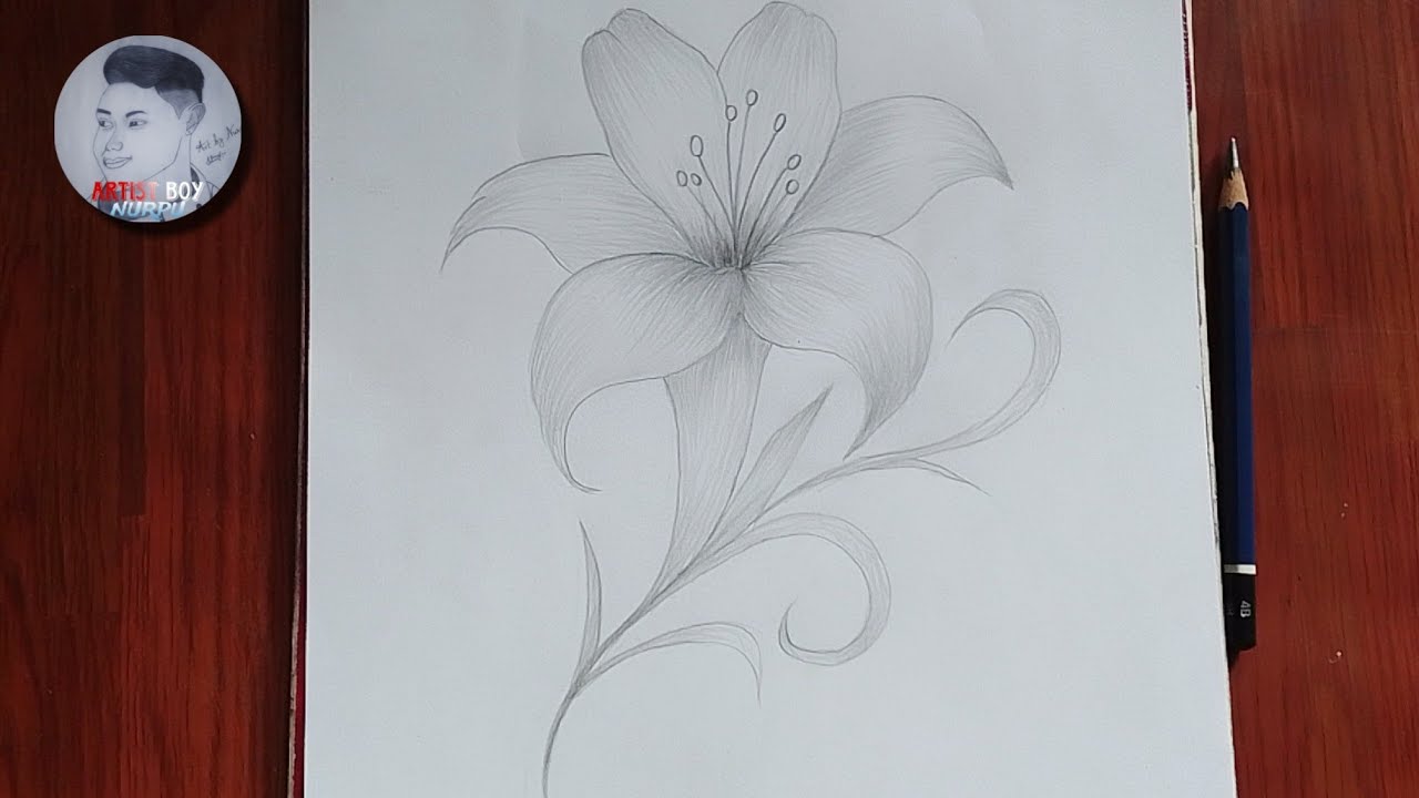 How to draw a Beautiful Lily Flower | Easy pencil sketch (Step-by-step)