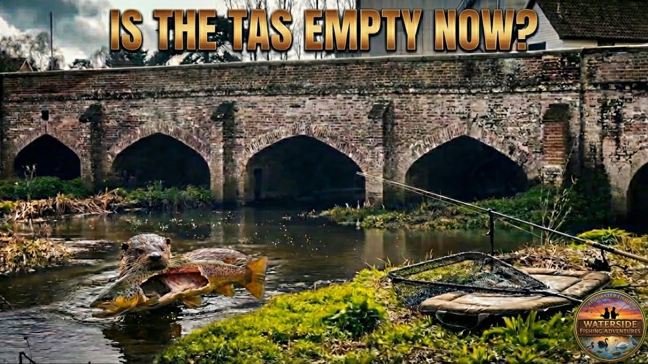 ARE THE TAS TROUT GONE?! 🎣😟 | MASSIVE Effort Session | Can We Land A Brownie? | River Tas