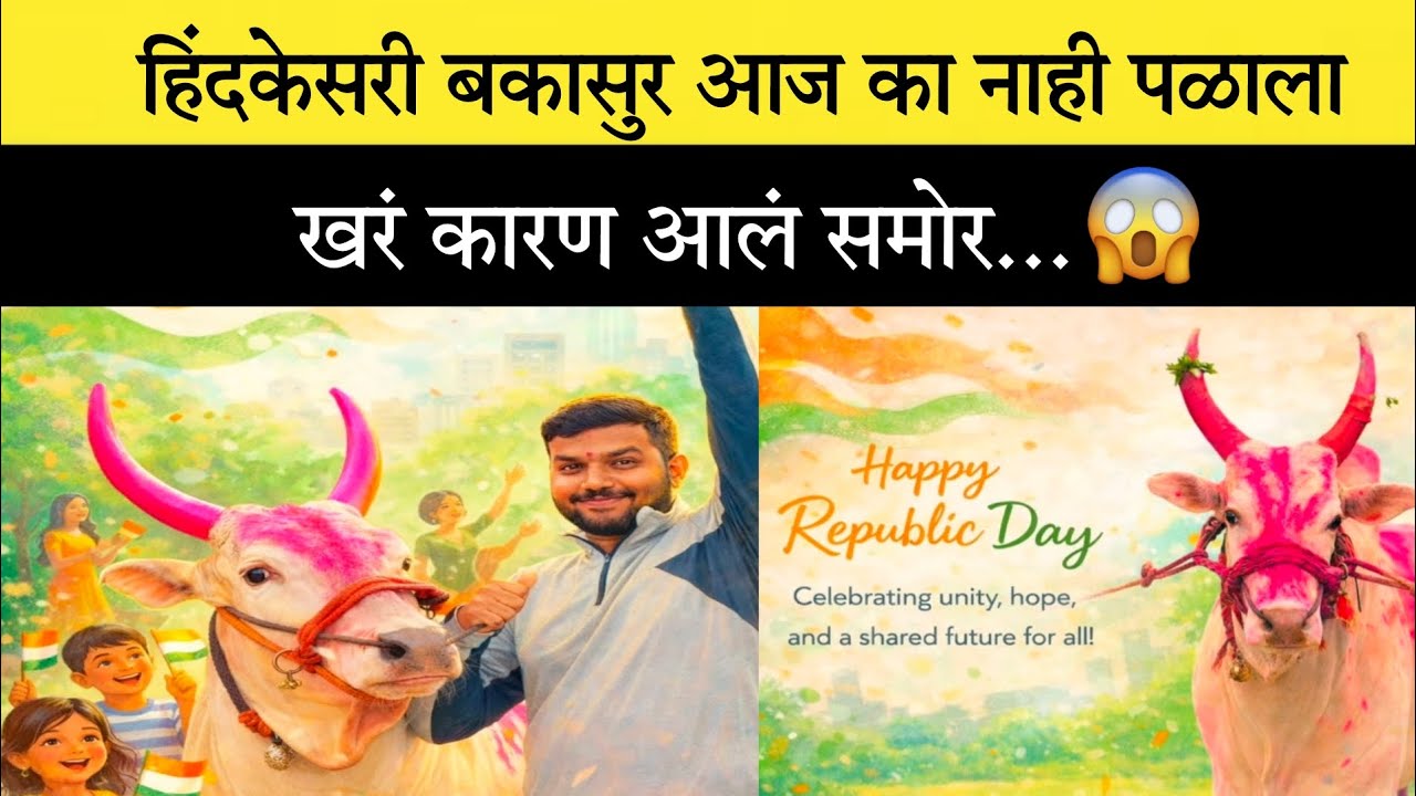 हिंदकेसरी बकासुर आज का नाही पळाला खरं कारण आलं समोर...😱 #नाद #बकासुर #बैलगाडा #viral 