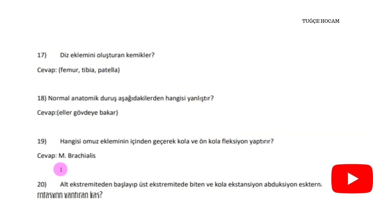 AUZEF ANATOMİ ALTIN ÇIKMIŞ SORULAR