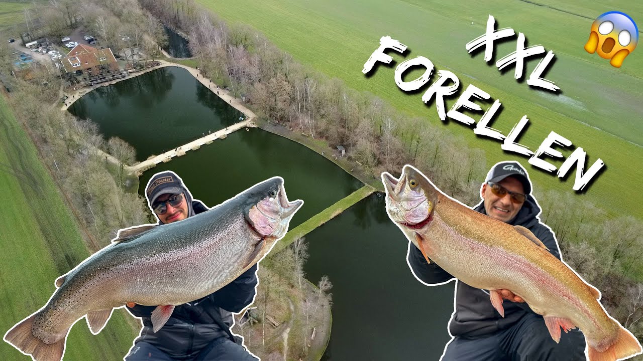 Das ultimative XXL-Forellenangel-Video! 😱 Die besten Tipps & Tricks für Monsterfische! 🎣