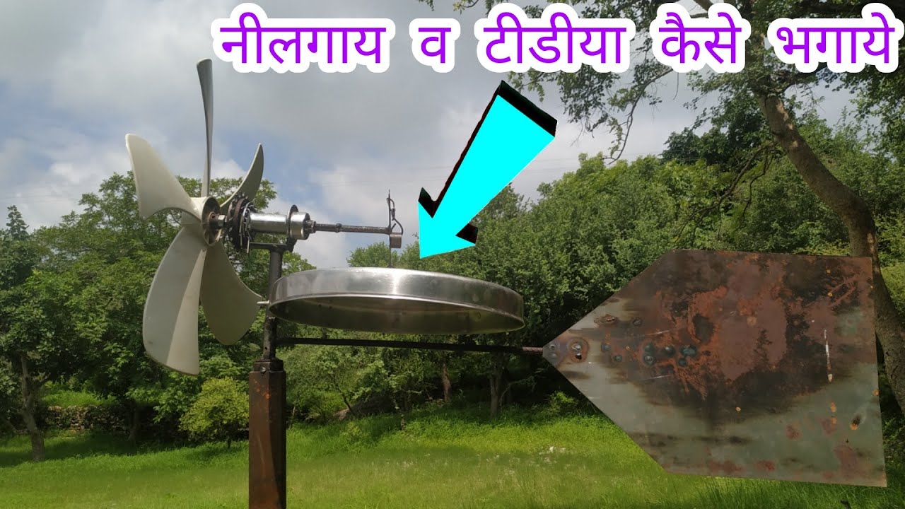 #desi_jugaad khet mein nilgai bhagane ka desi jugad, nilgai bhagane ka desi jugaad,