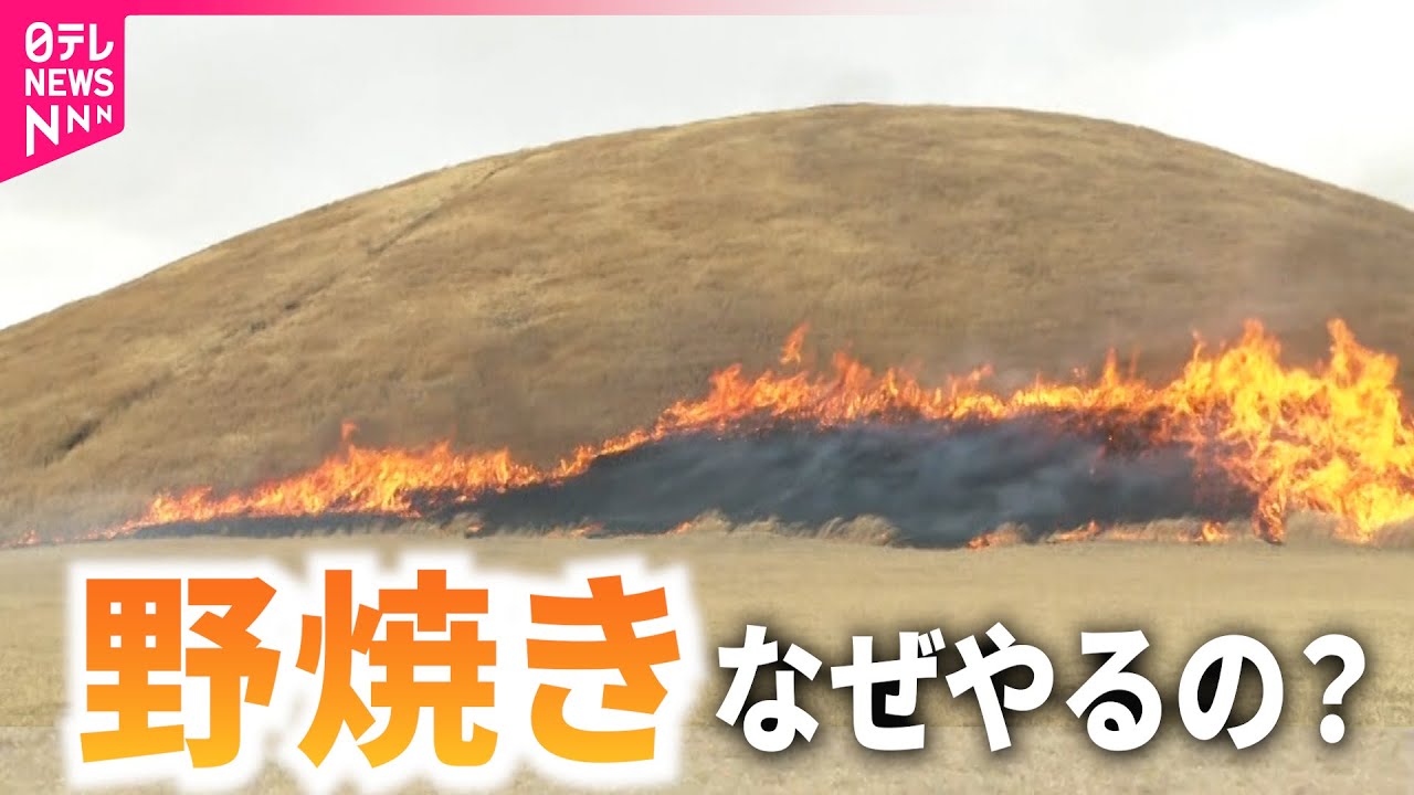 【知ってる？】なぜ必要？危険じゃないの？草原に火を放つ