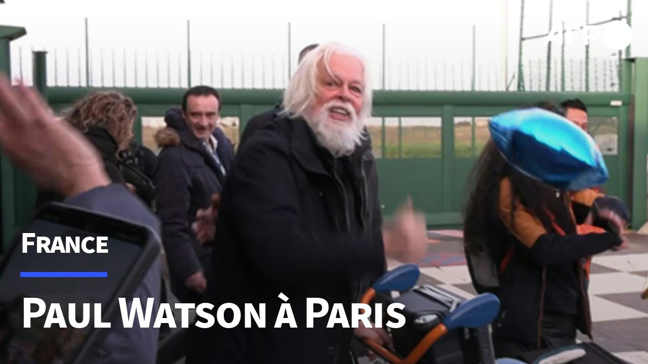 Le militant écologiste Paul Watson arrive à Paris | AFP Images