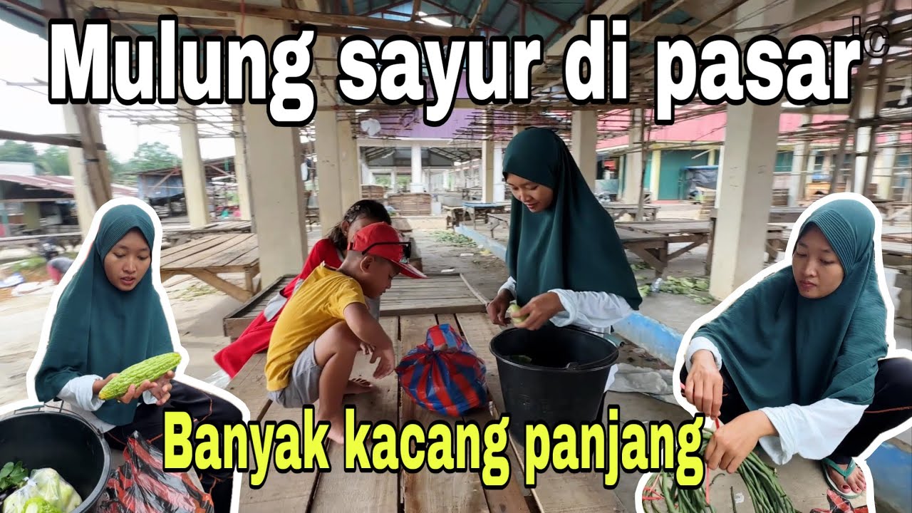 HASIL MARILES DI BUANG SAYANG⁉️ CAPEK KITA MENCARI DI PASAR