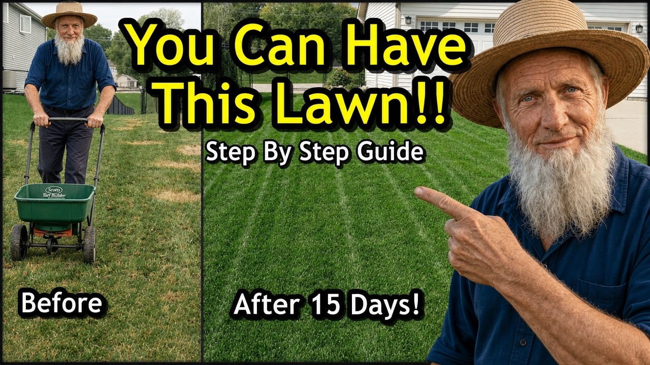 How to FIX an UGLY Lawn with RESULTS &mdash; The Amish Way