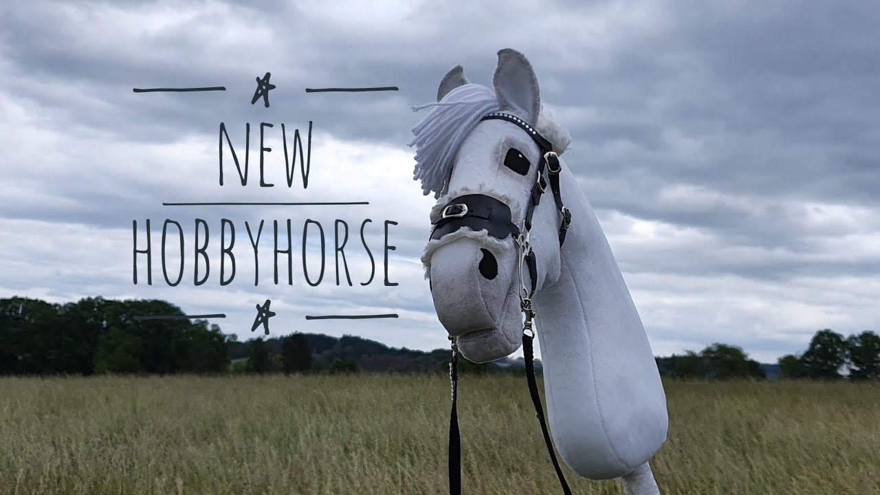 My new hobbyhorse!♥️🐎