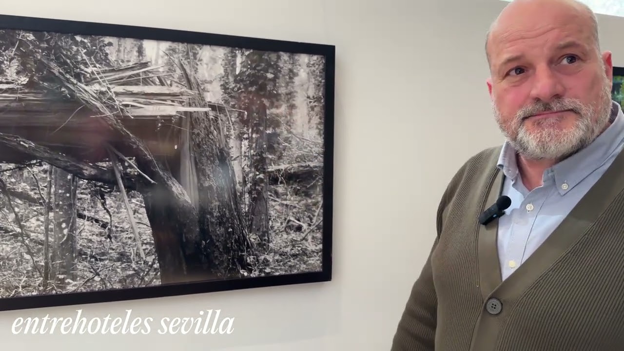 Borja Moreno - Artista visual