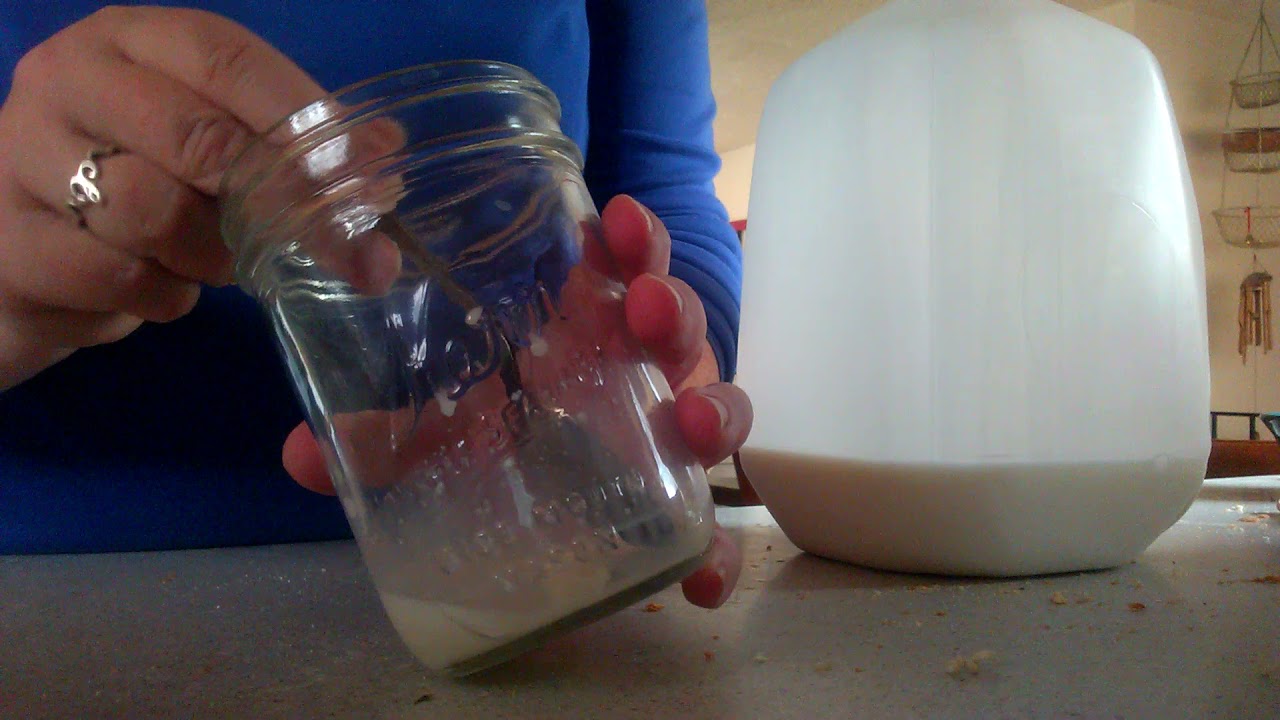 Rehydrating dried kefir grains