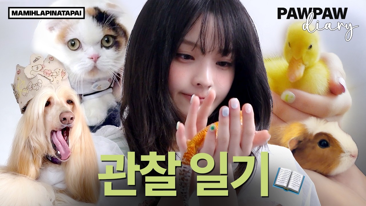 이로하의 관찰 일기🔎 | PAW PAW diary | 'MAMIHLAPINATAPAI' 콘셉트 포토 비하인드 | ILLIT (아일릿)