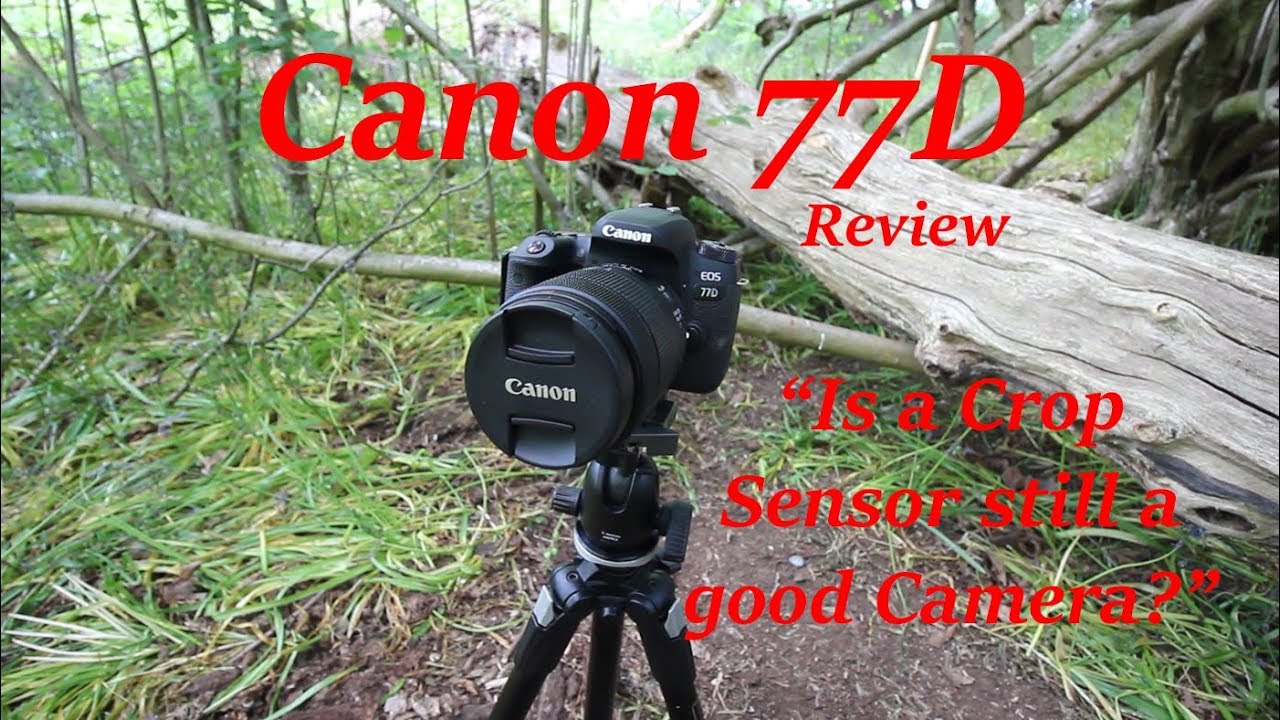 Canon 77D &mdash; обзор за 6 месяцев &mdash; является ли кропнутый датчик хорошей камерой?