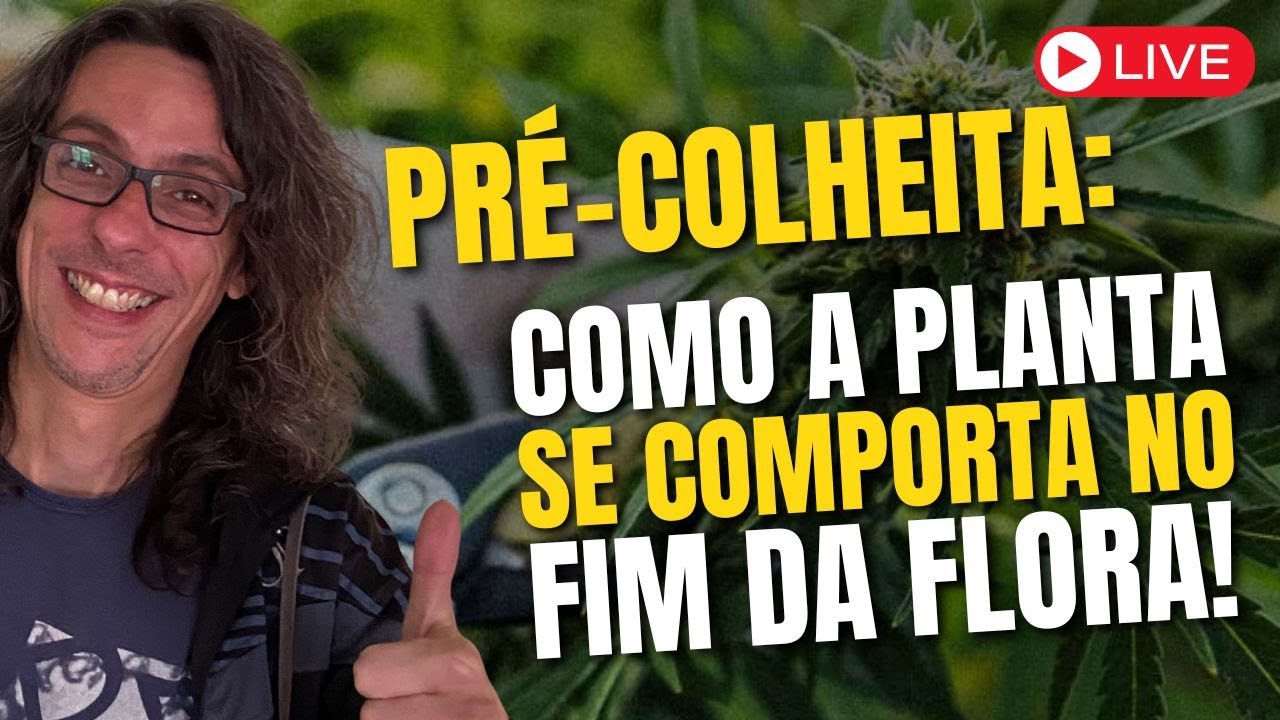 Senesc&ecirc;ncia Programada: O Rel&oacute;gio Interno que Controla o Fim da Flora&ccedil;&atilde;o