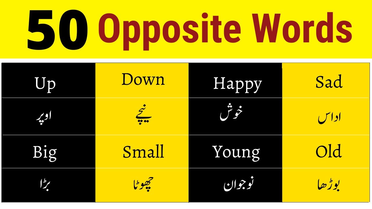 50 Opposite Words with Urdu Meanings | English Most Important Antonyms