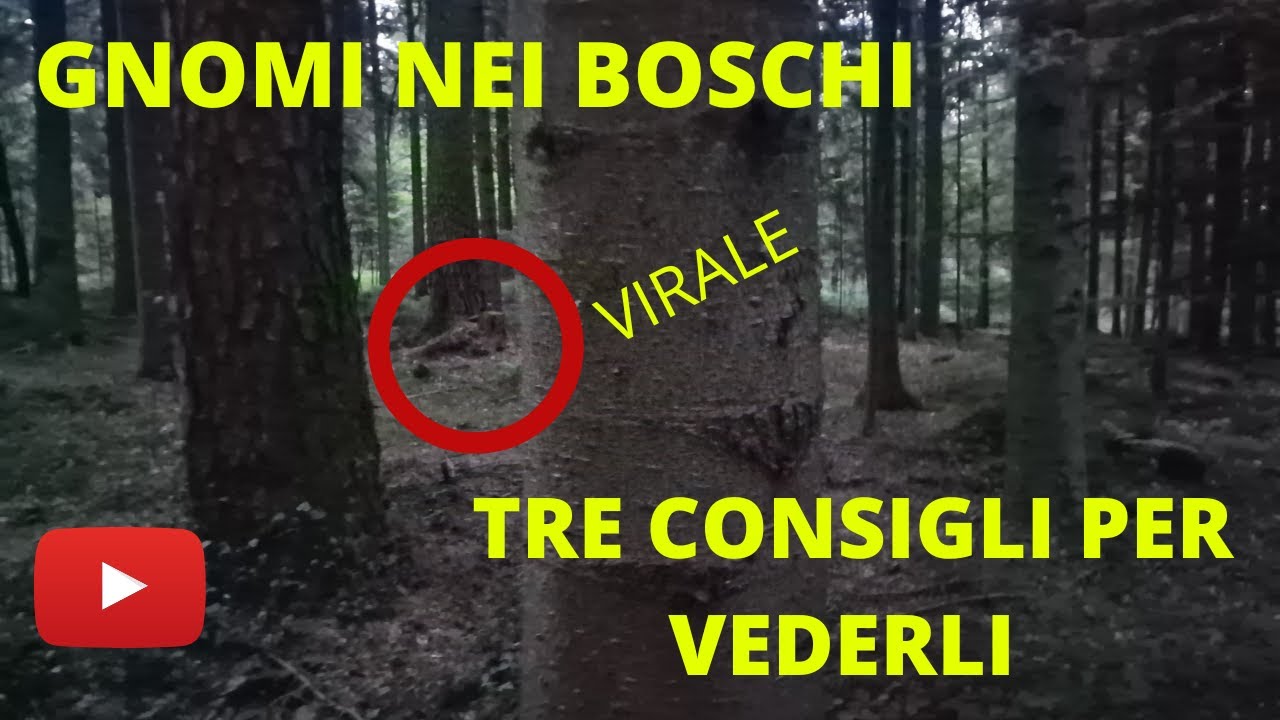Gnomo Filmato di Nascosto in Bosco &ndash; Incontro con un Elementale