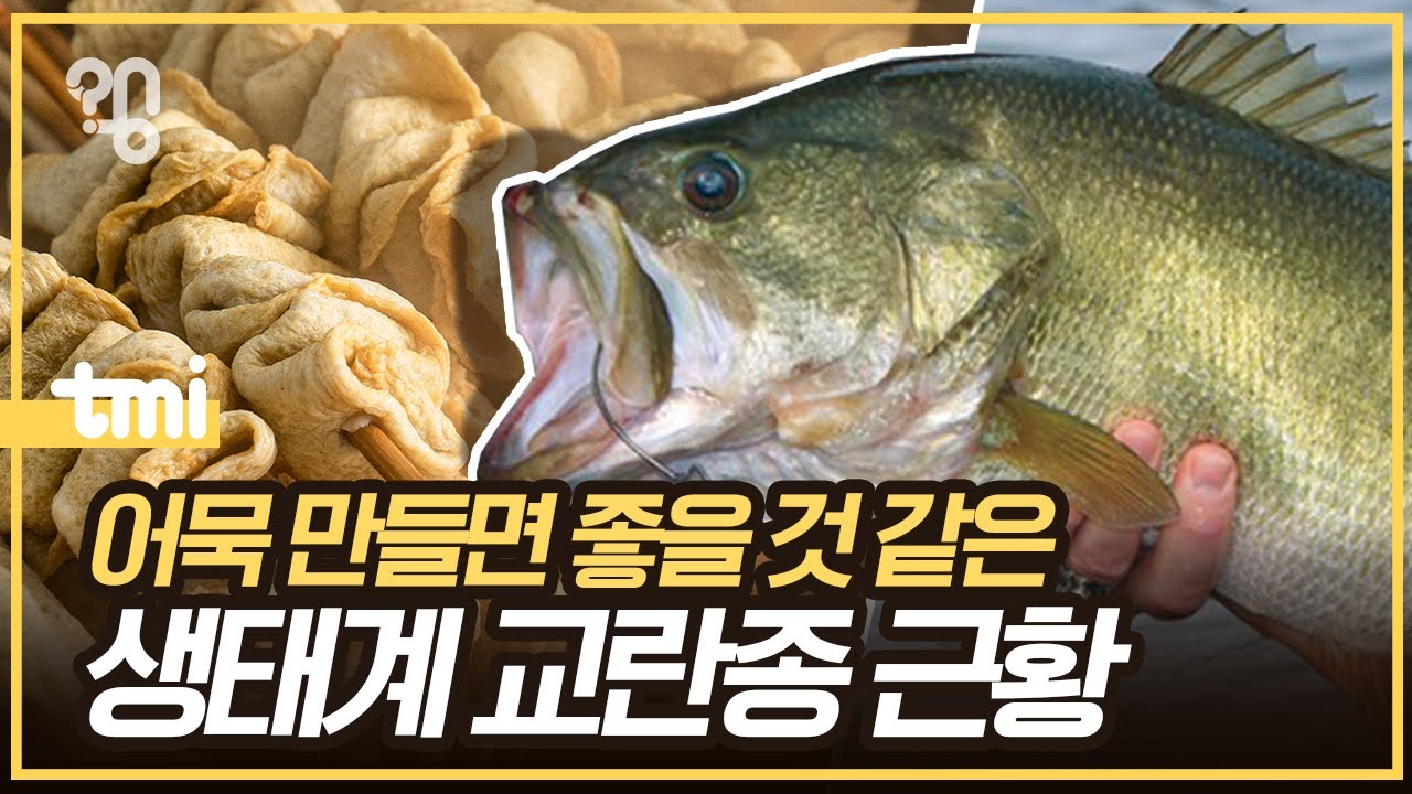 블루길 배스 어묵은 어떻게 됐을까?