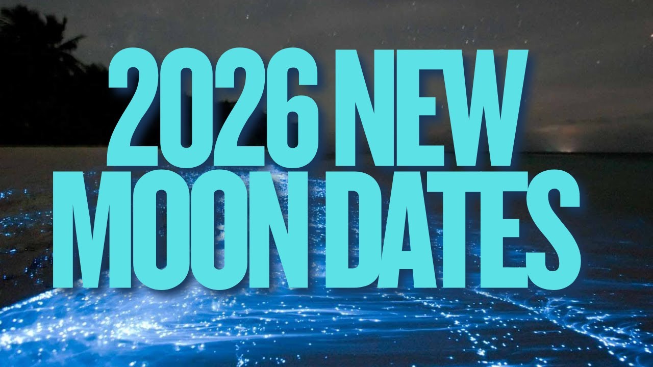 2026 Best Times to See Bioluminescence | New Moon Dates in 2026