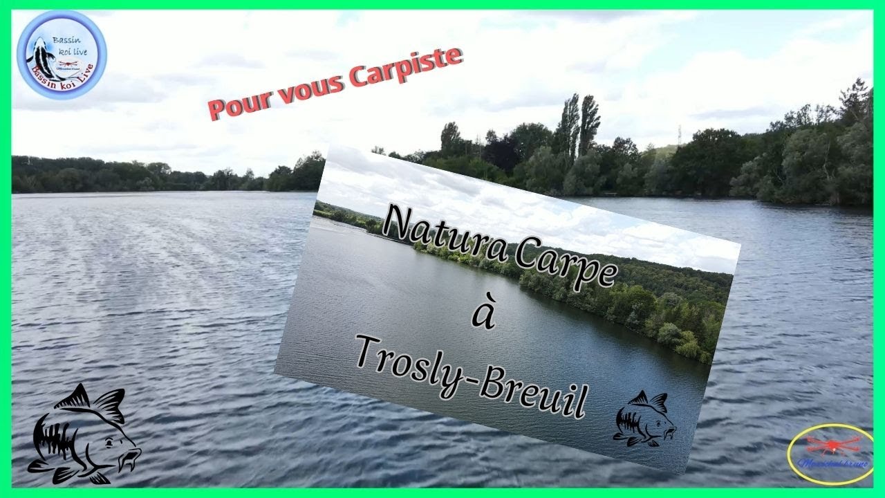 Natura carpe à Trosly-Breuil dans L'oise