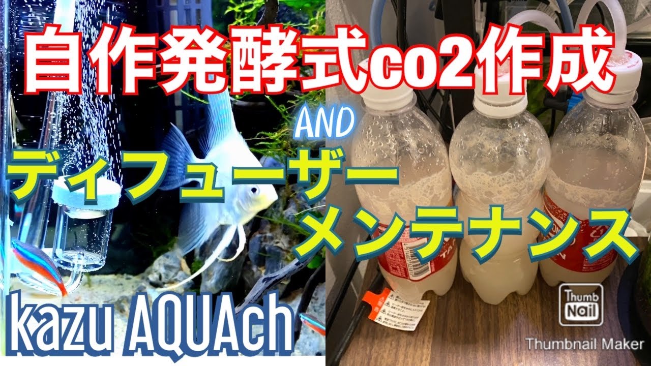 【アクアリウム】自作発酵式co2作成&ディフューザーメンテナンス編【kazu AQUAch】