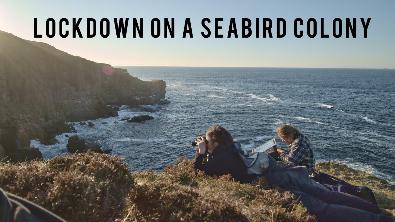 Living On A Seabird Colony During Lockdown | Life On Handa Island 2020
