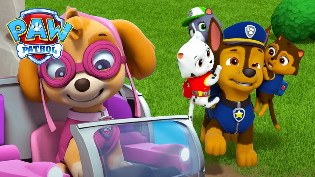 Chase megtalálja a polgármester eltűnt cicáit | Mancs Őrjárat | PAW Patrol