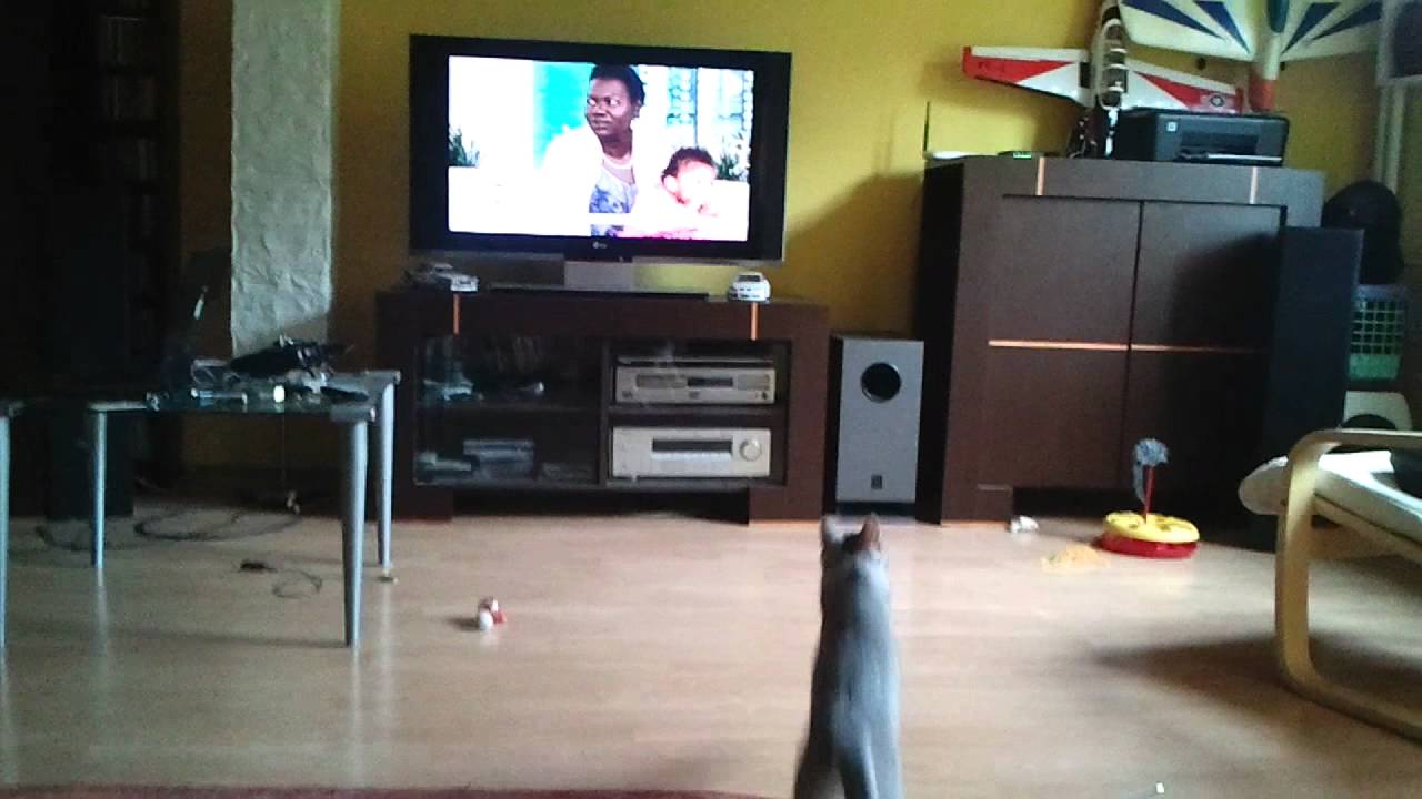 Milka Akrobacje 3D