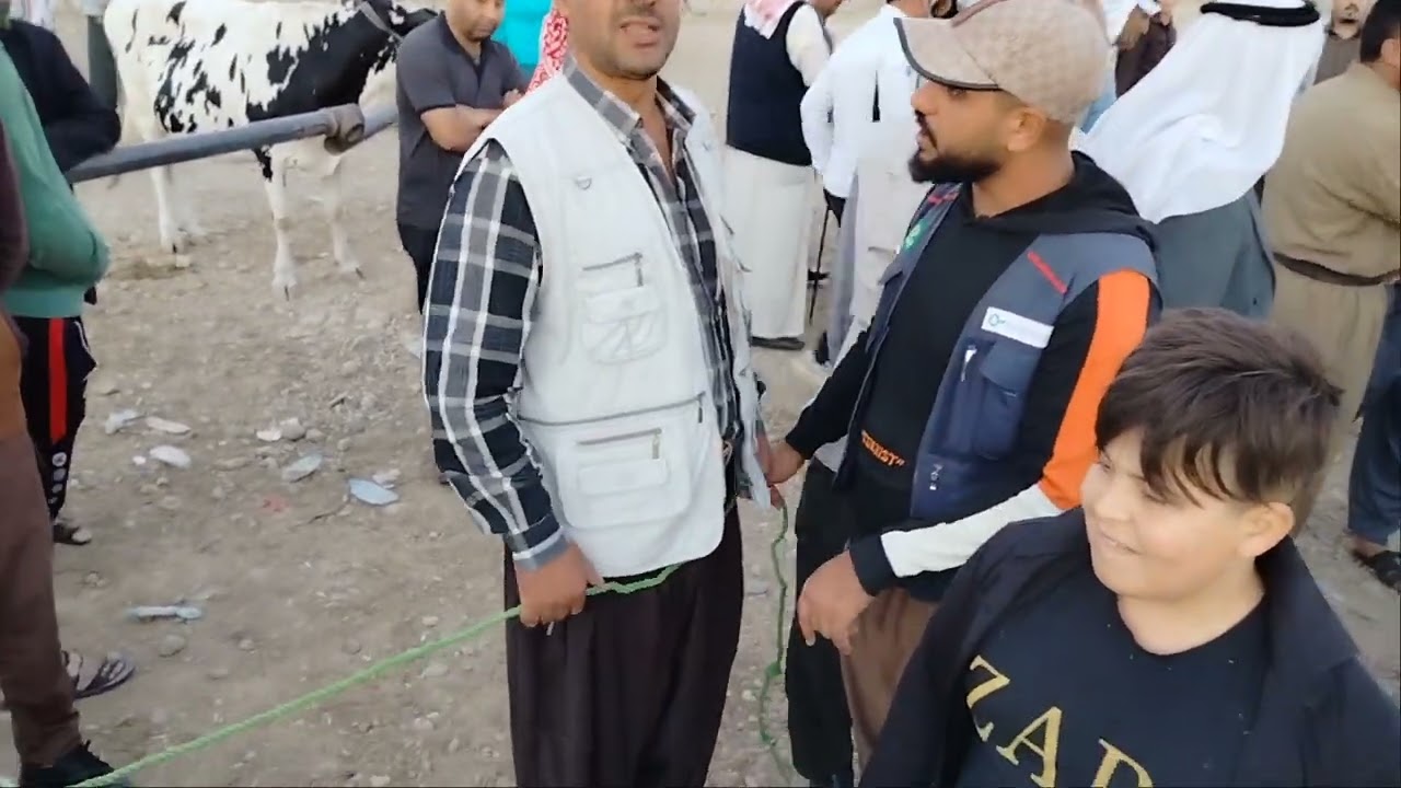 سوق بيع وشراء البواشي في جانب الايمن الموصل 07503325190 على هذه الرقم