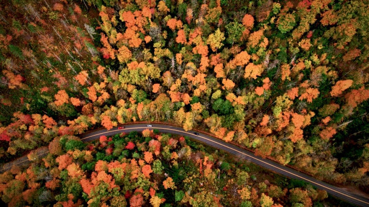 Experience Fall in Gatlinburg, Tennessee