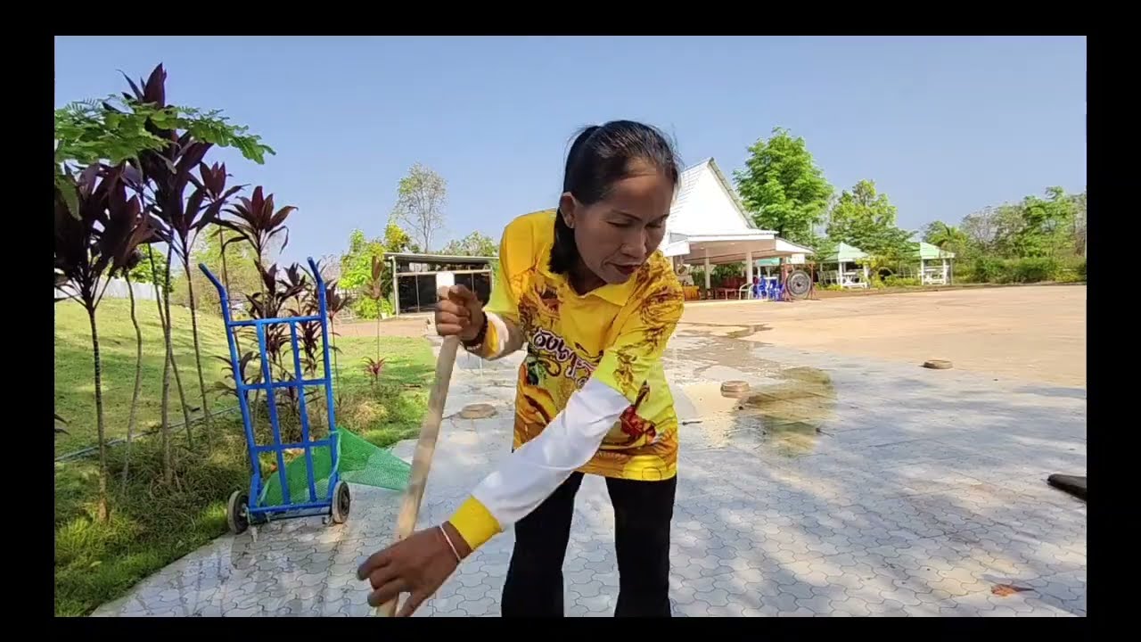 รดน้ำต้นไม้ทำความสะอาดหลานองคปู่ก่อน FC มา