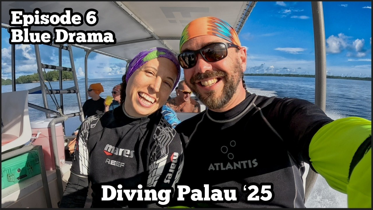 Deep Blue Drama | Blue Corner, Blue Holes, Dexter Wall, Fairyland, Ngedbus | Diving Palau '25 Ep 6