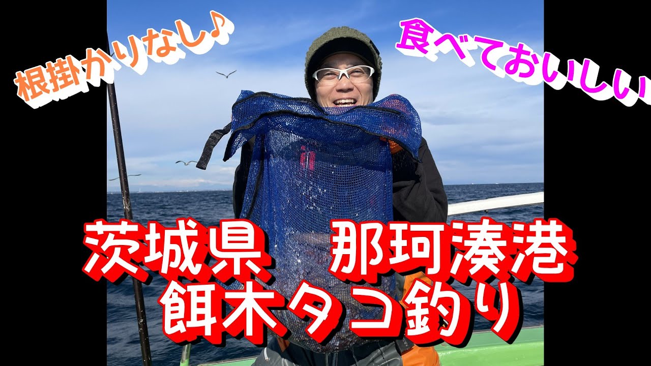 【那珂湊港】餌木で狙うタコ釣り！！！