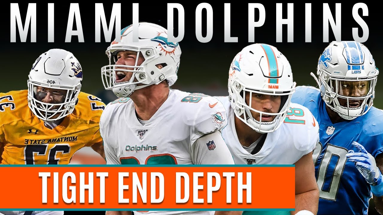 Miami Dolphins TE depth 2020, What will it look like