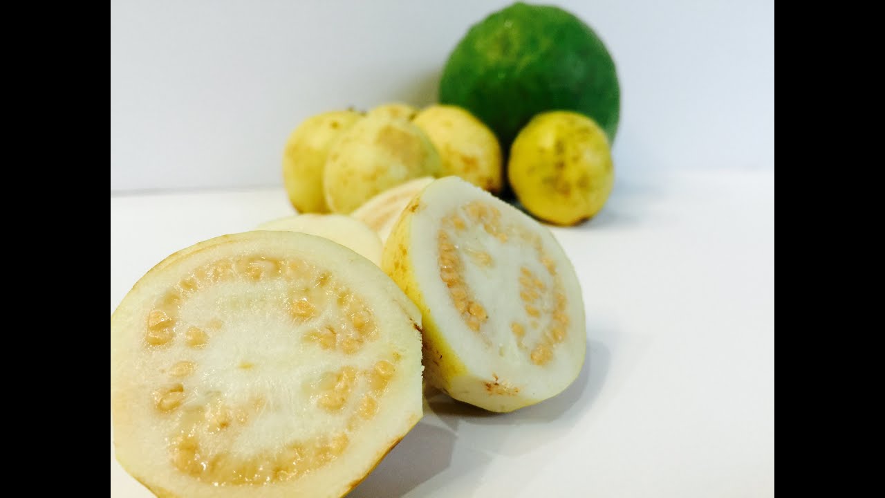 What is a Guava and How to eat a Guava with Raihana's Cuisines