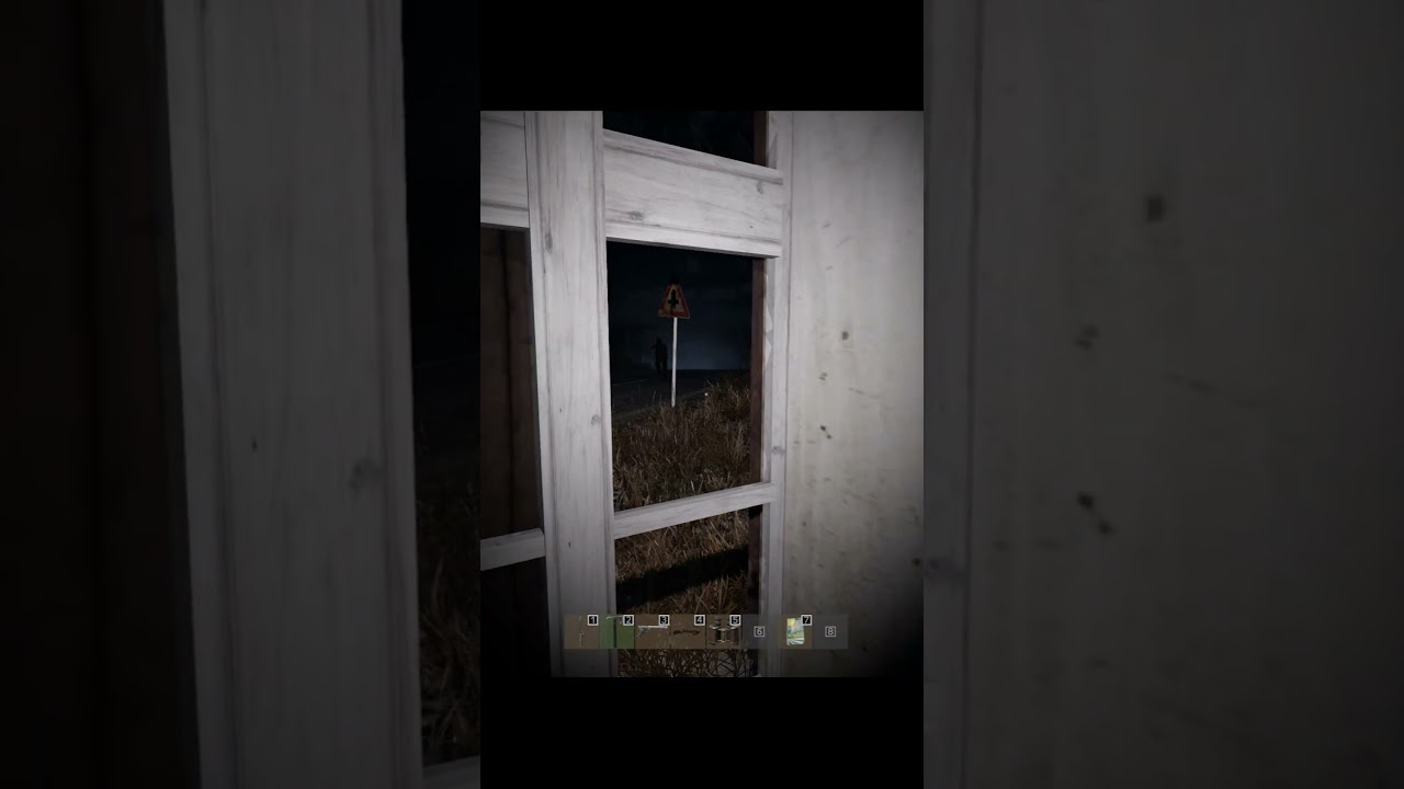 DayZ Что это было? #survival #dayzmod #провыживание #gaming #dayzgamers #сталкер #сталкер#survivalmo