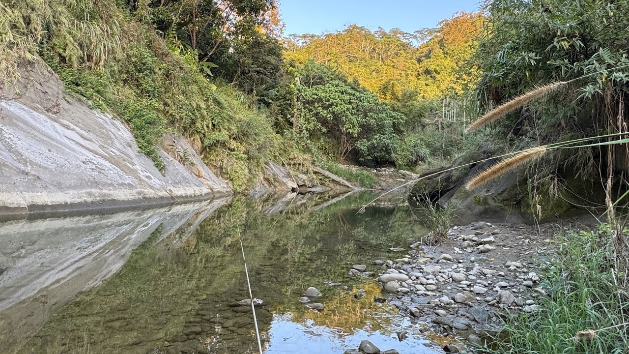 久違的136縣道小溪釣遊記Easyshooting