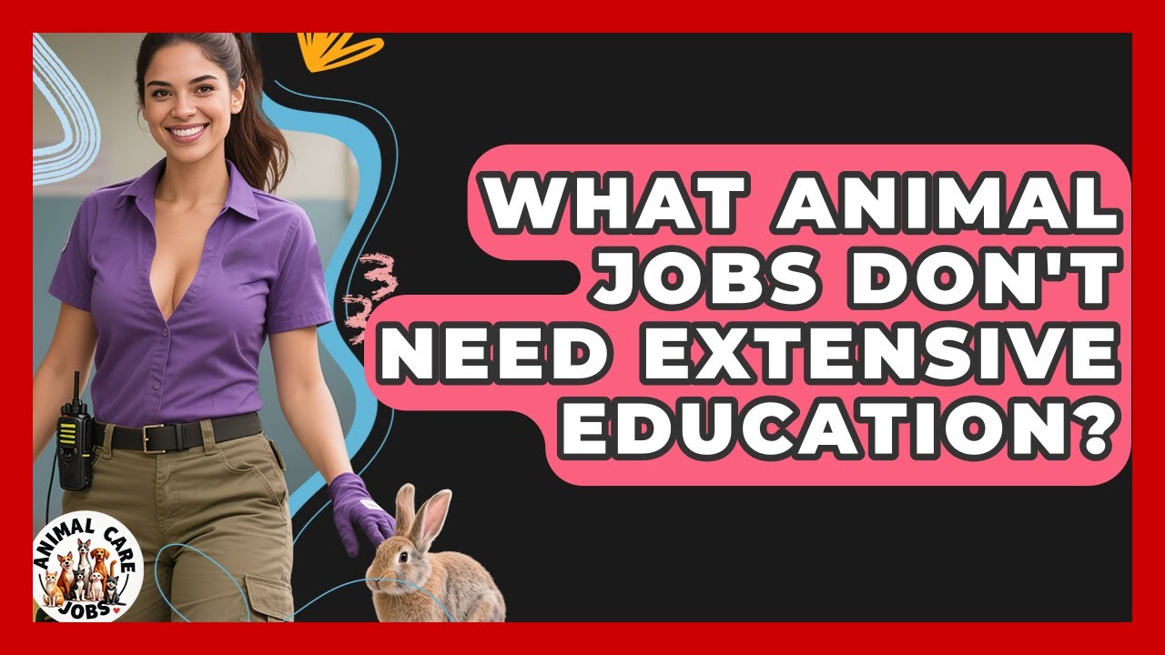 What Animal Jobs Don't Need Extensive Education? - Animal Care Jobs
