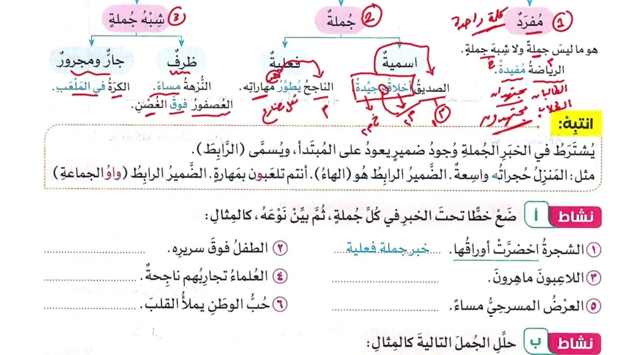 3/ حل كتاب سلاح التلميذ 2026 ( أنواع الخبر ) الترم الثاني،الصف السادس الابتدائي،أ/إسلام الجنايني