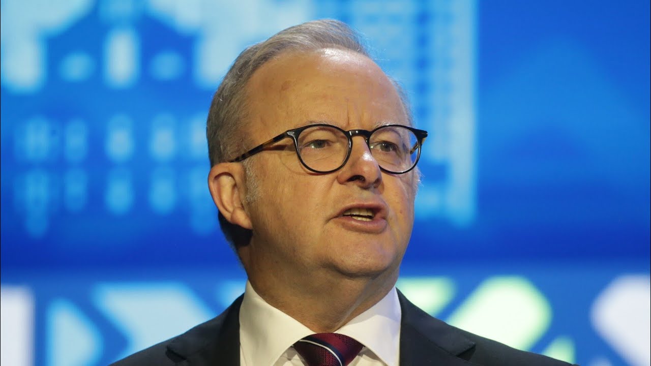 &lsquo;They got it wrong&rsquo;: Pauline Hanson blasts Anthony Albanese over net zero energy policy