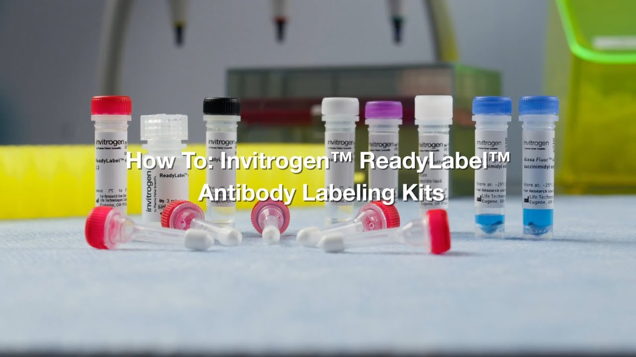 How to: Invitrogen ReadyLabel Antibody Labeling Kits Protocol