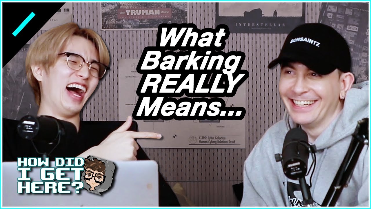 Animals CAN Talk (sort of) ft. The World of Dave (데이브) | HDIGH Ep. #18 Highlight