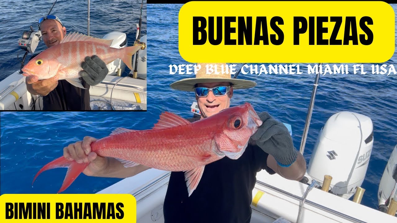 PESCANDO SOLO BIMINI BAHAMAS